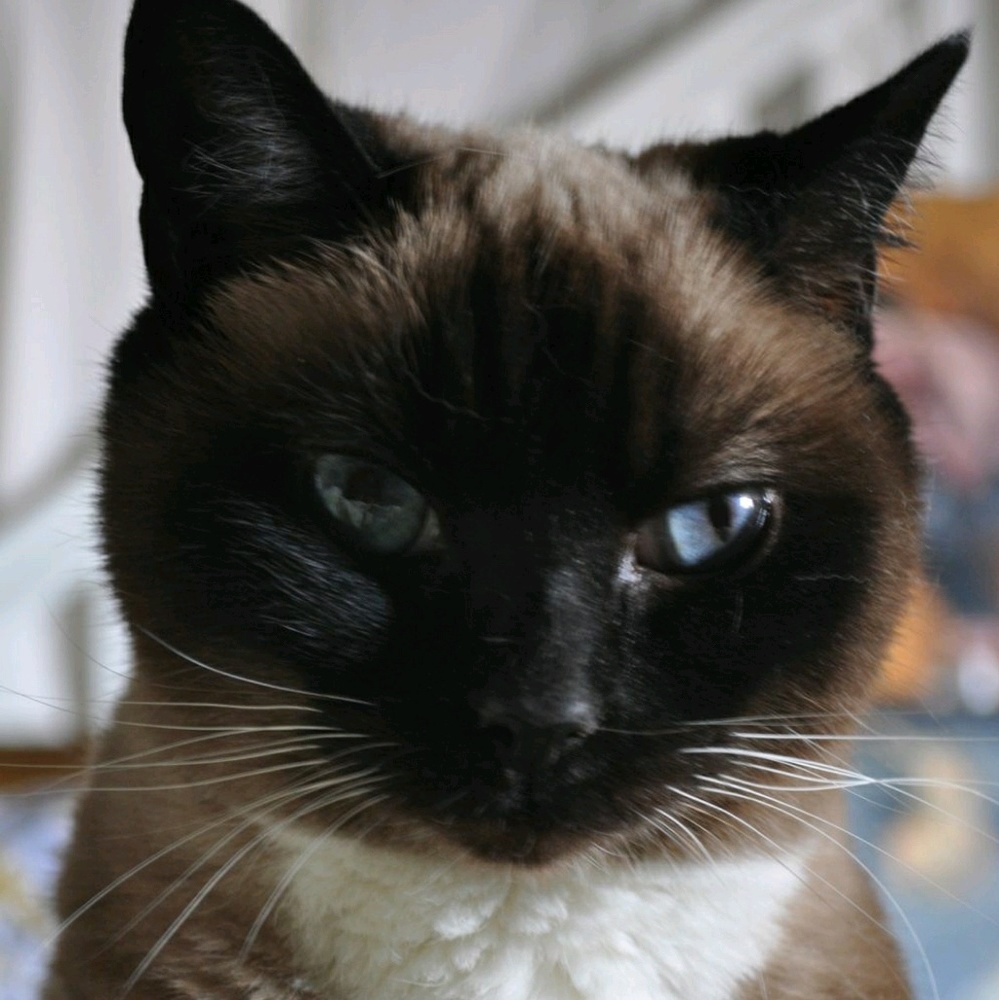 Meet your Posher, Gwen